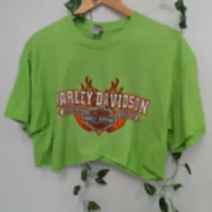 Harley Green