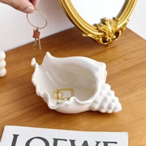 Conch Shell Storage