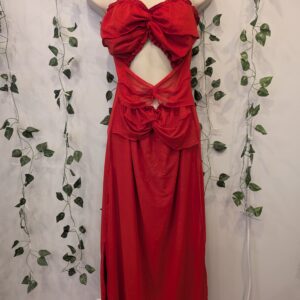 Red Evie Long Dress